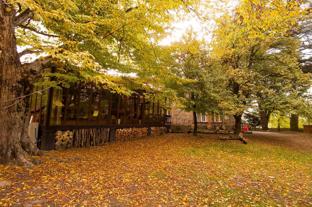 Wald Hotel 라고데키 외부 사진